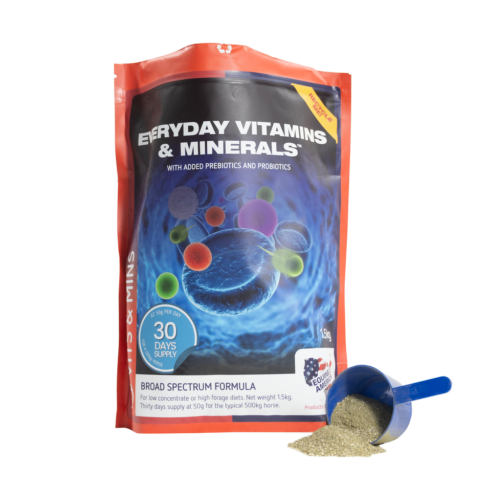 Everyday Vitamins & Minerals