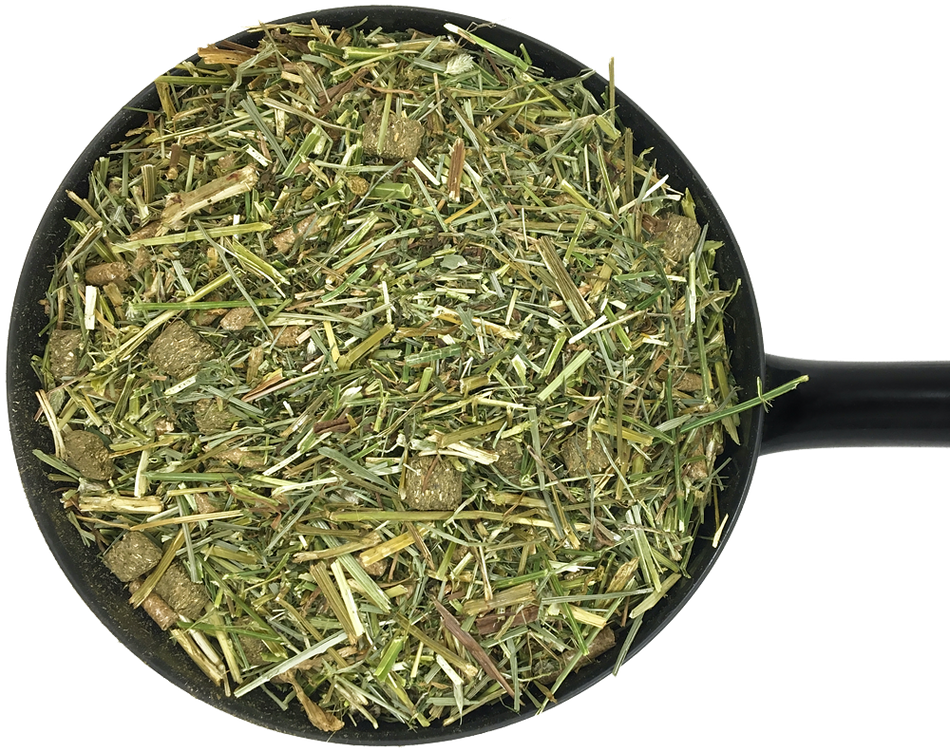 D&H Fibre Fusion