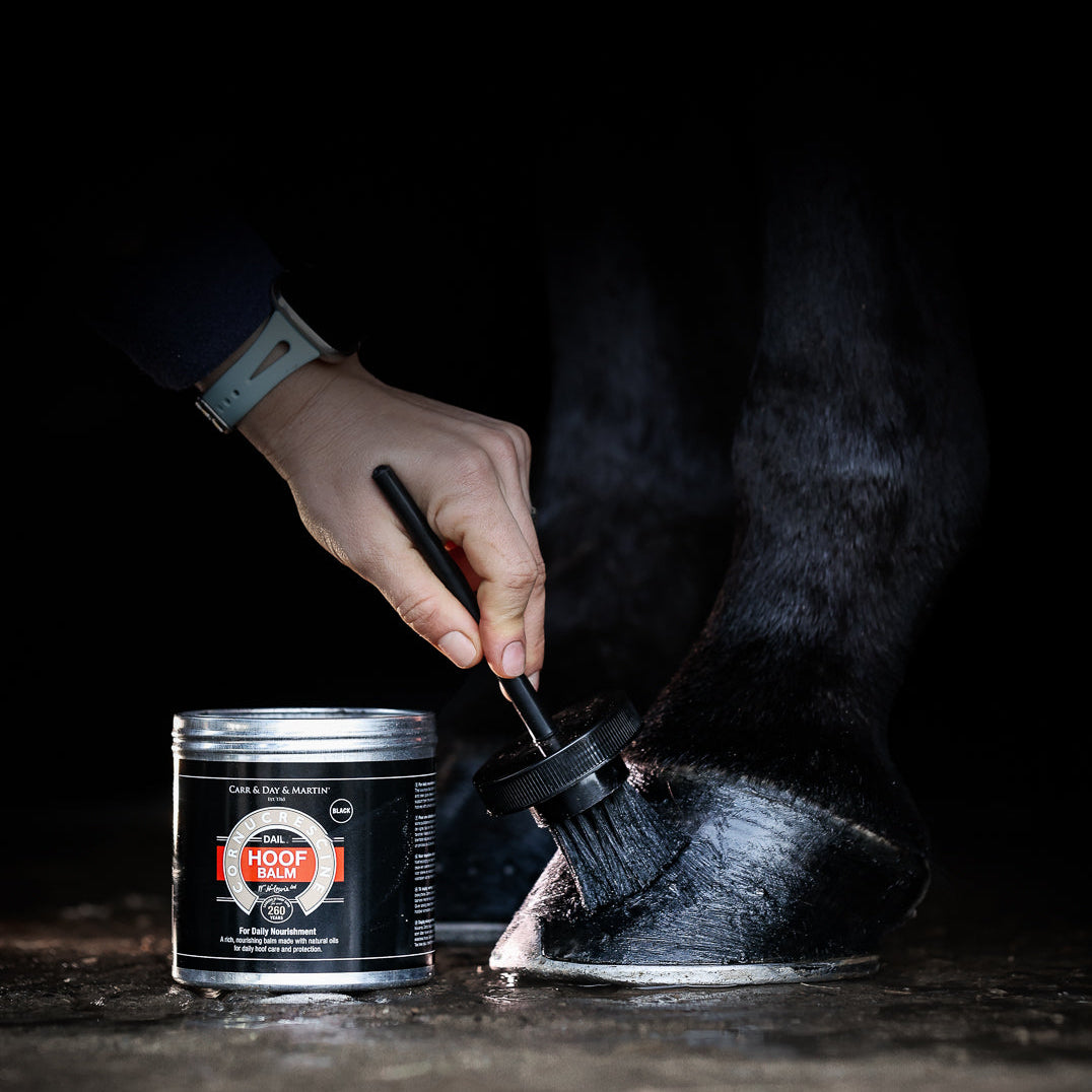 Person applying a black substance from a can to a shoe using a brush on a dark background.