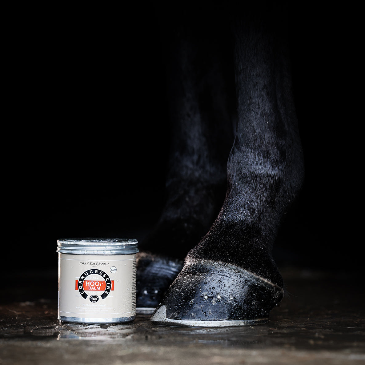 Horse hooves with a can of hoof care product on a dark background