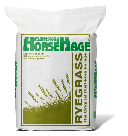 HorseHage Ryegrass Green