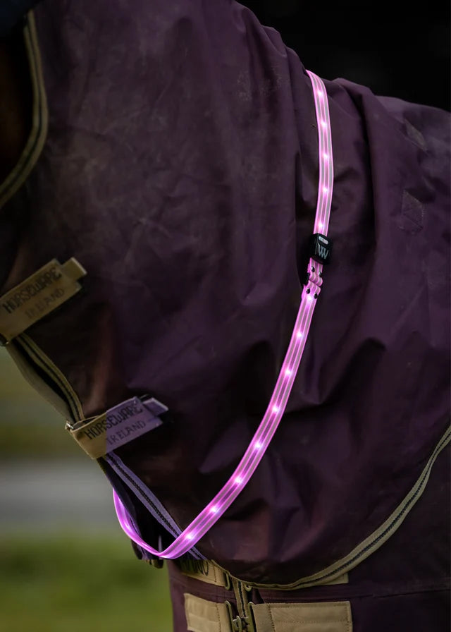 LED Sash - Pink