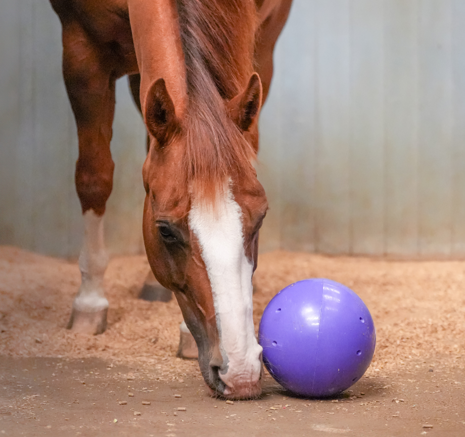 Snak-a-Ball