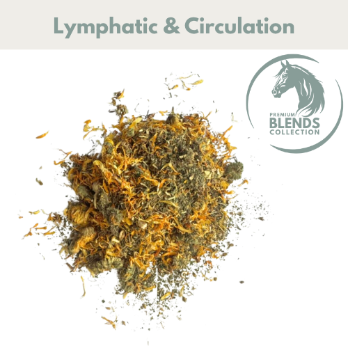 Lymphatic Support Blend