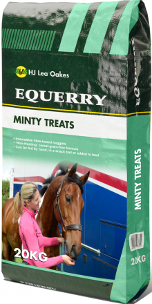 Minty Horse Treats