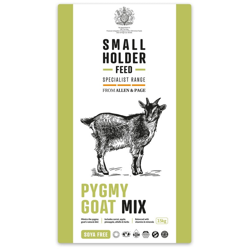 Pygmy Goat Mix