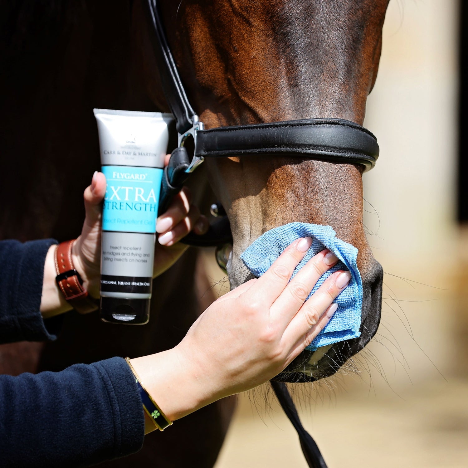 Person holding a tube of 
fly gard gel near a horse's head