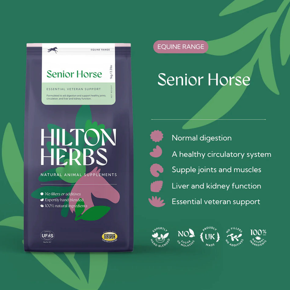 Senior Horse