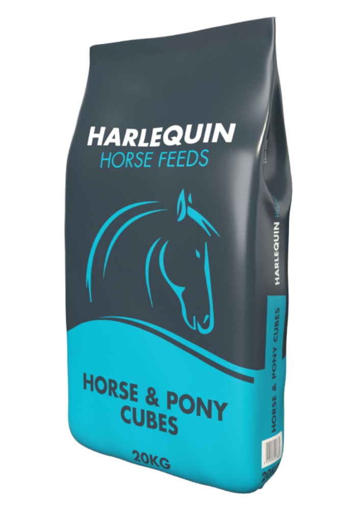 Horse & Pony Cubes