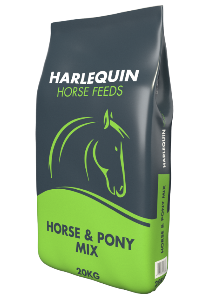 Horse & Pony Mix