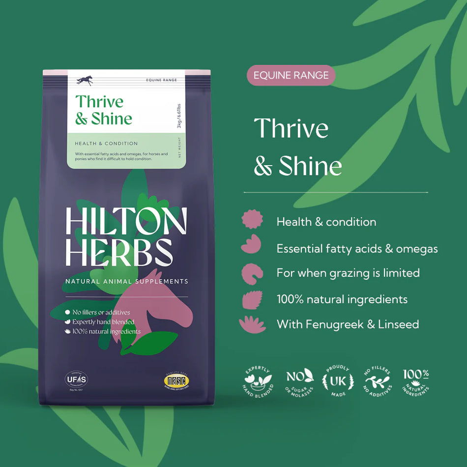 Thrive & Shine