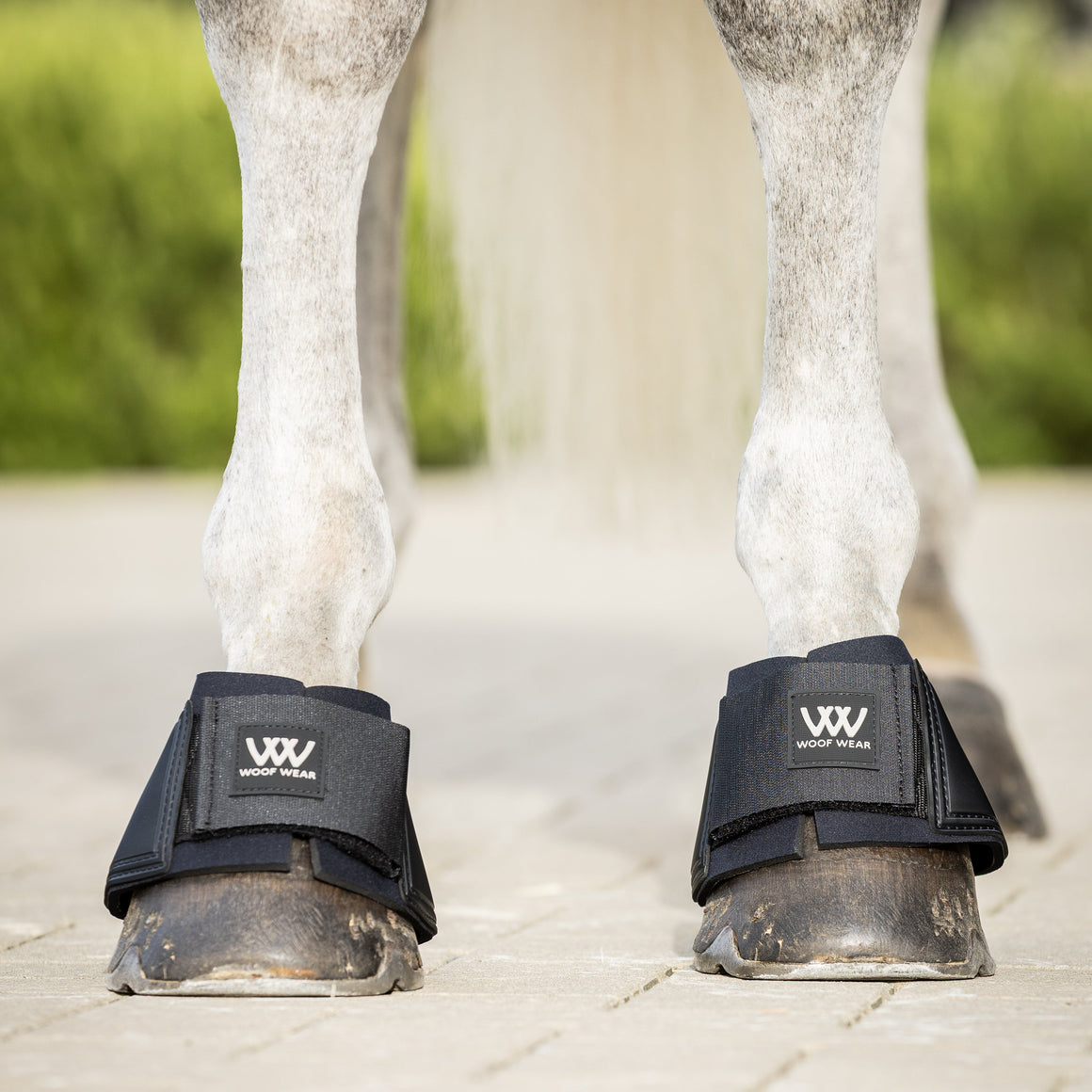 Horse wearing black protective boots on a paved surface with greenery in the background