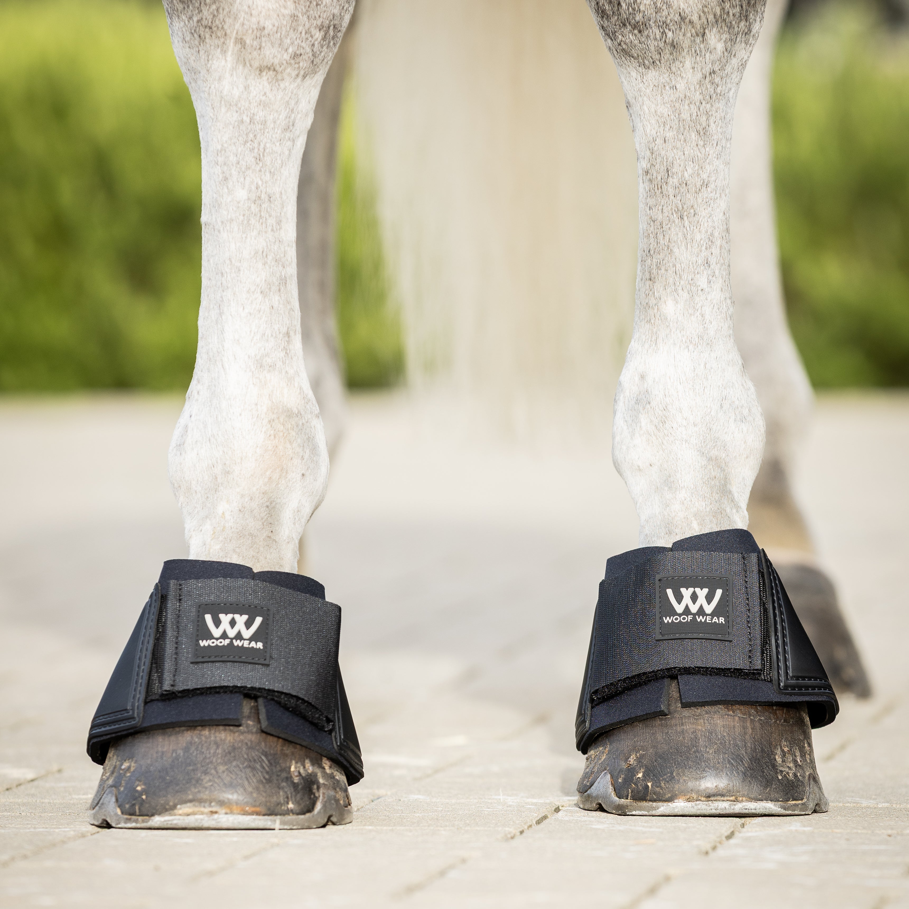 Horse wearing black protective boots on a paved surface with greenery in the background