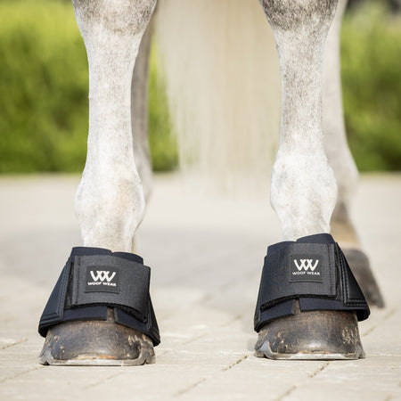 Horse wearing black protective boots on a paved surface with greenery in the background