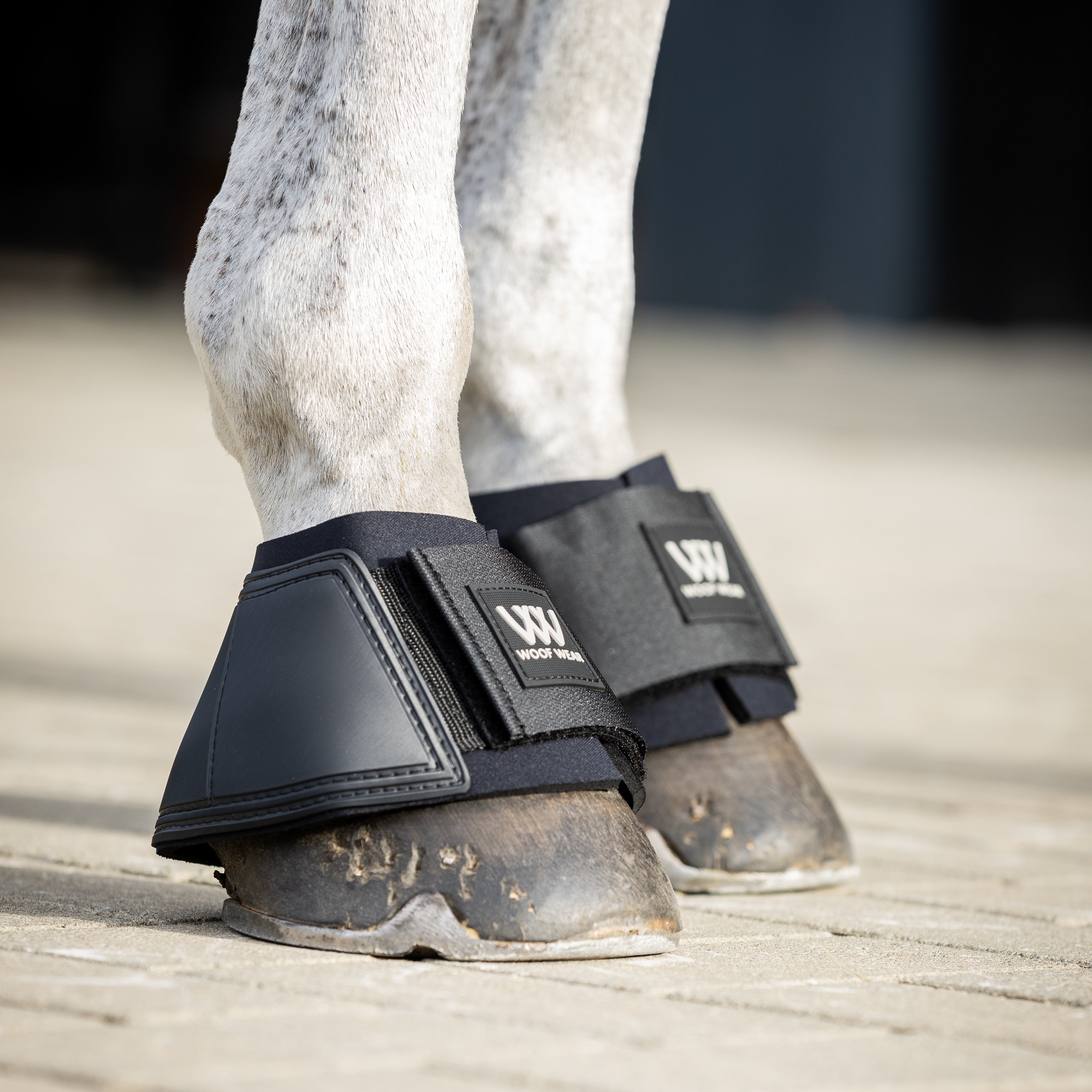 Horse legs wearing black protective boots on a sandy surface