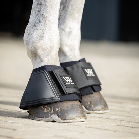 Horse legs wearing black protective boots on a sandy surface