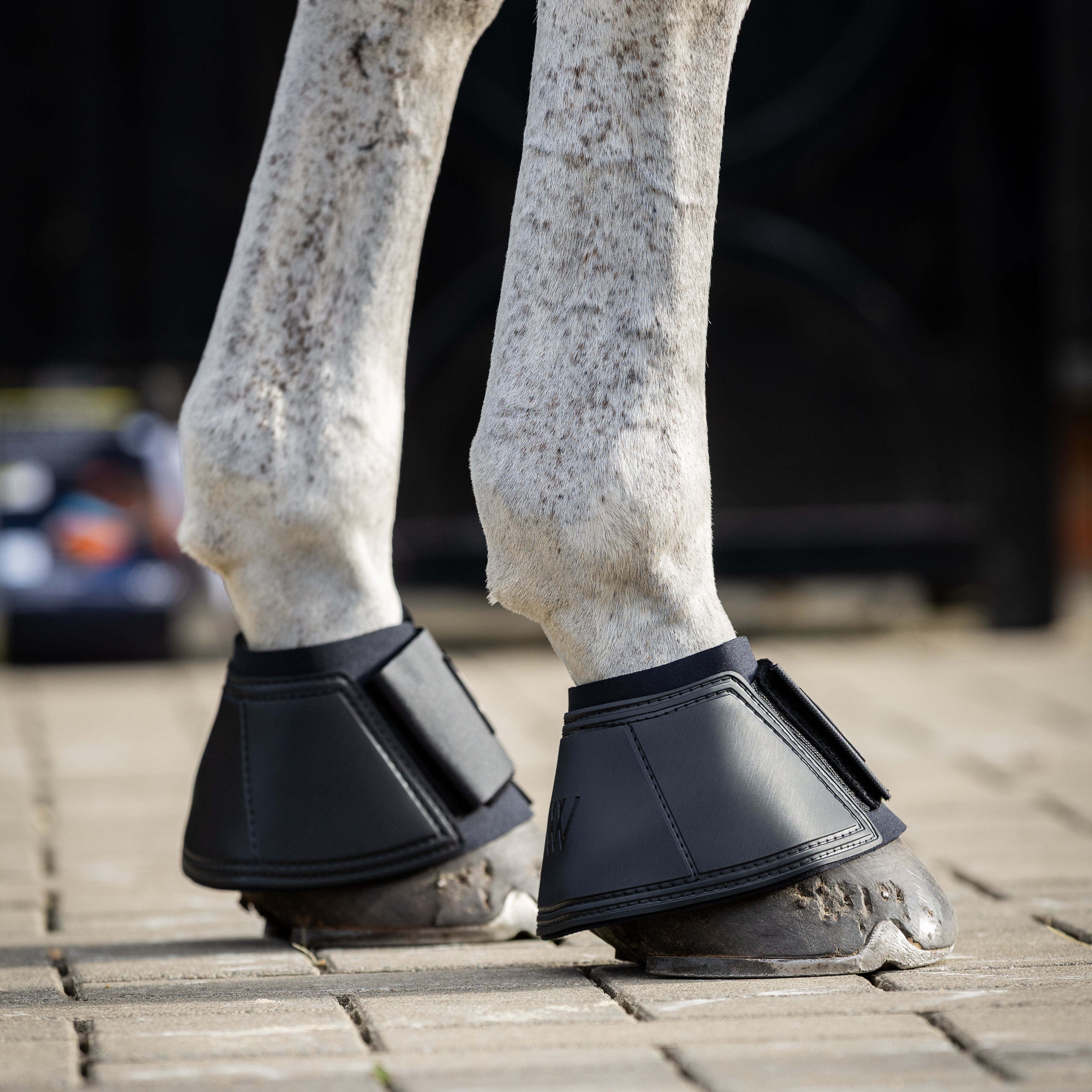 Horse legs wearing black protective boots on a paved surface.