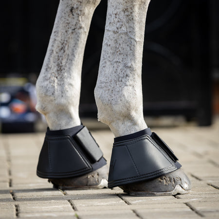 Horse legs wearing black protective boots on a paved surface.