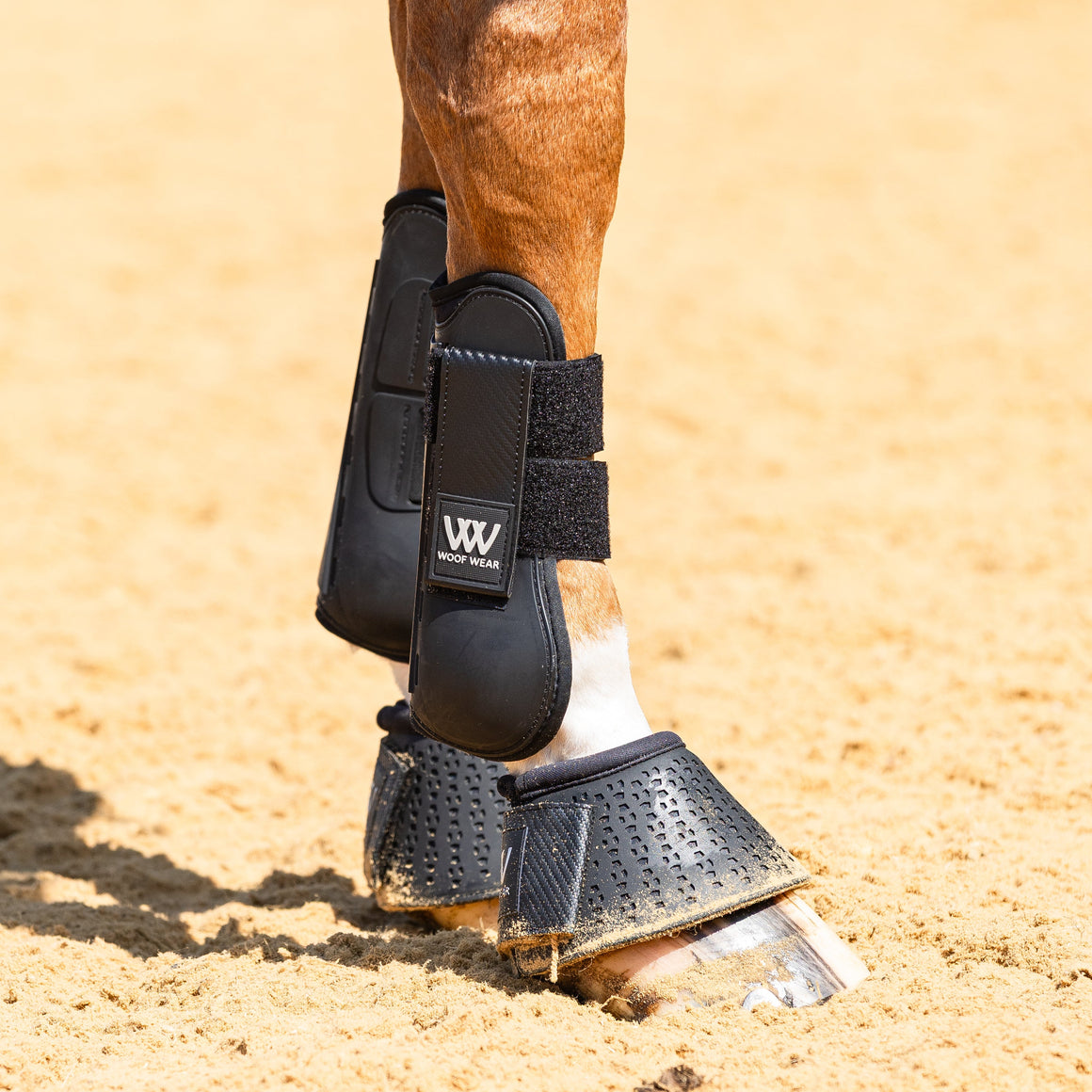 Horse leg with protective boot on a sandy ground