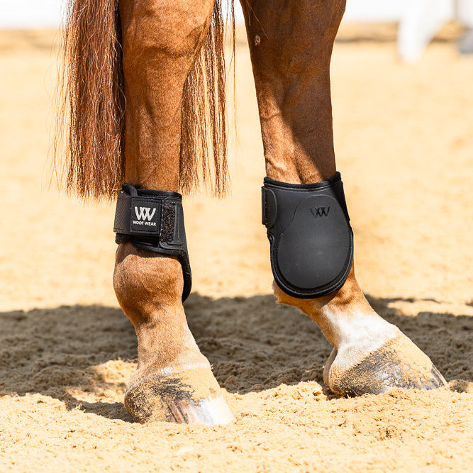 Horse wearing black protective leg wraps on a sandy ground