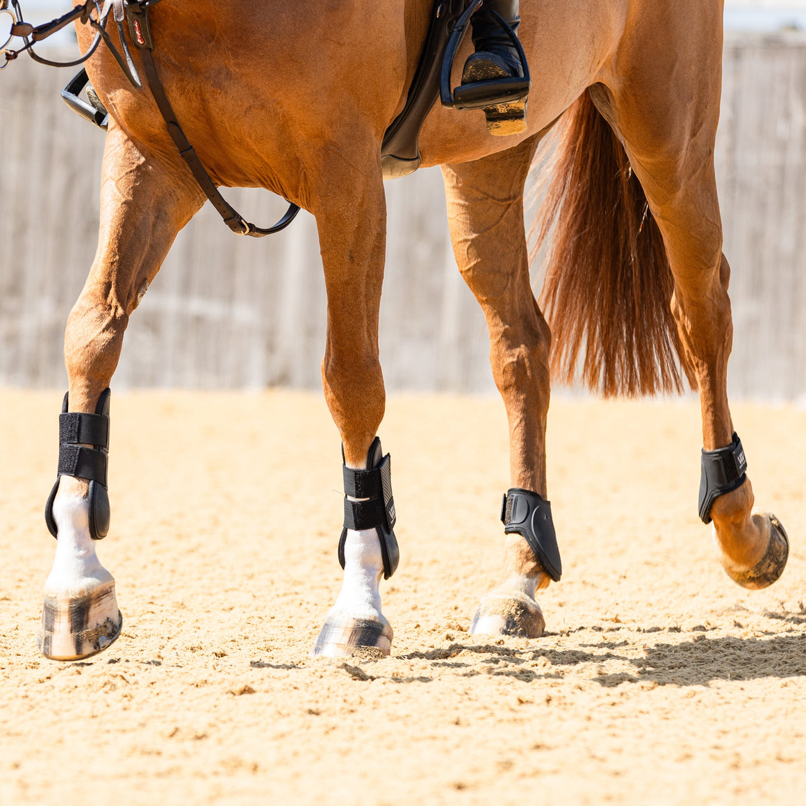 Brown horse with a saddle and bridle on a sandy surface