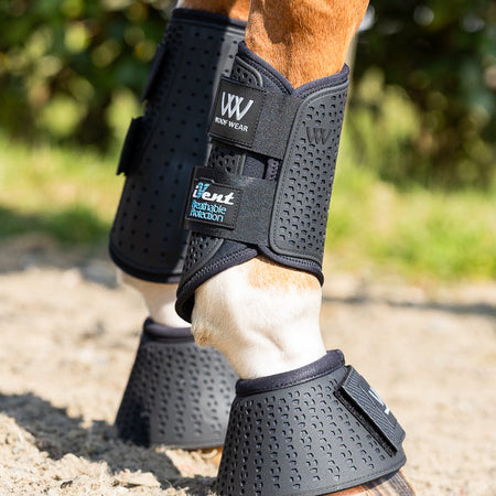 Horse wearing black protective boots on a natural outdoor ground.
