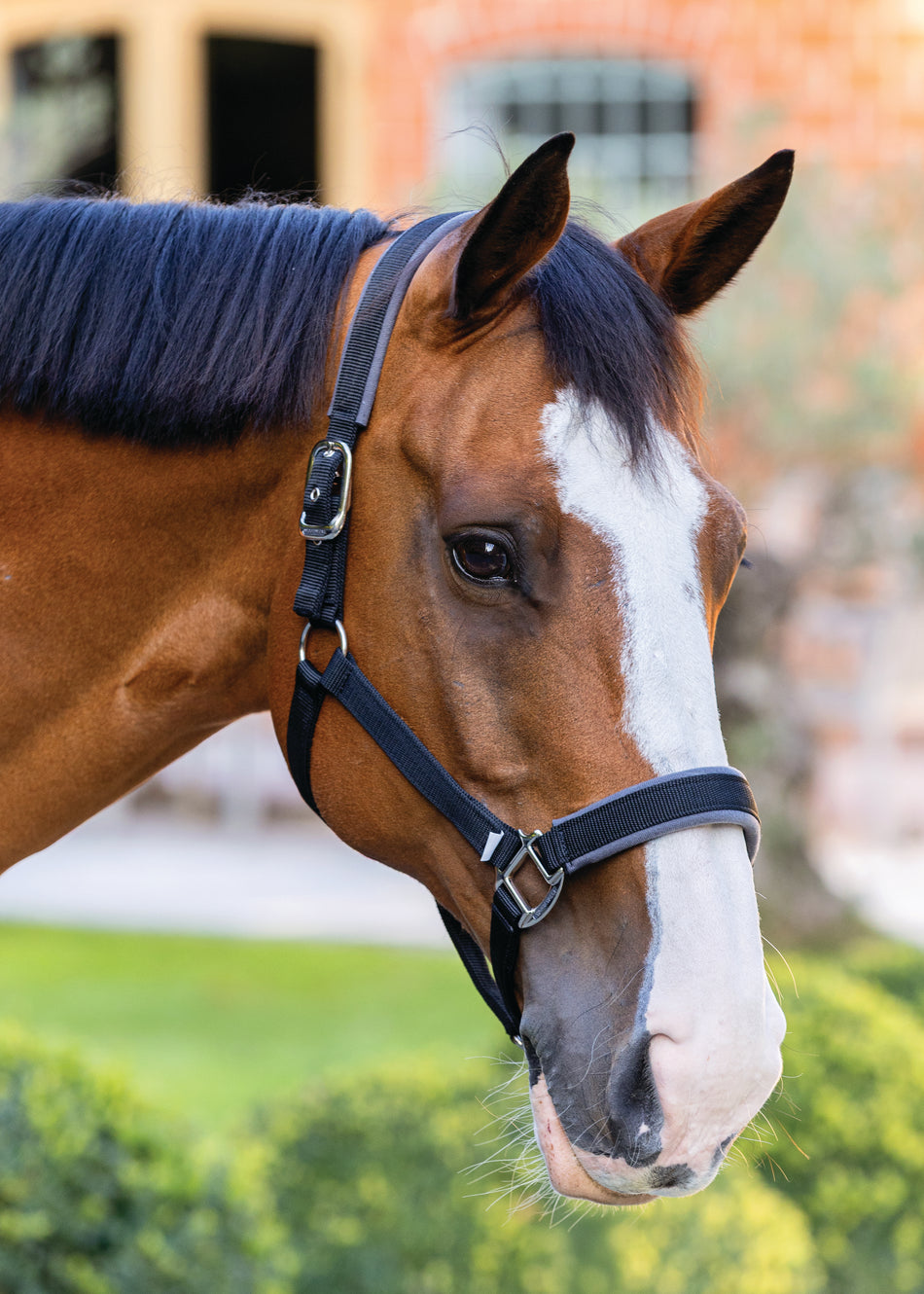 Contour Head Collar