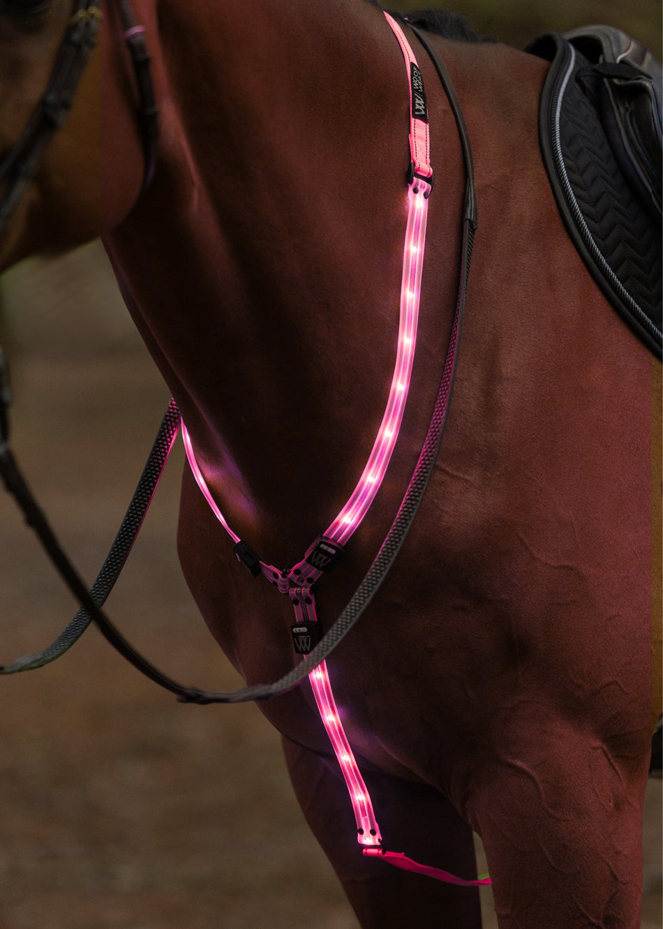 LED Neck Band