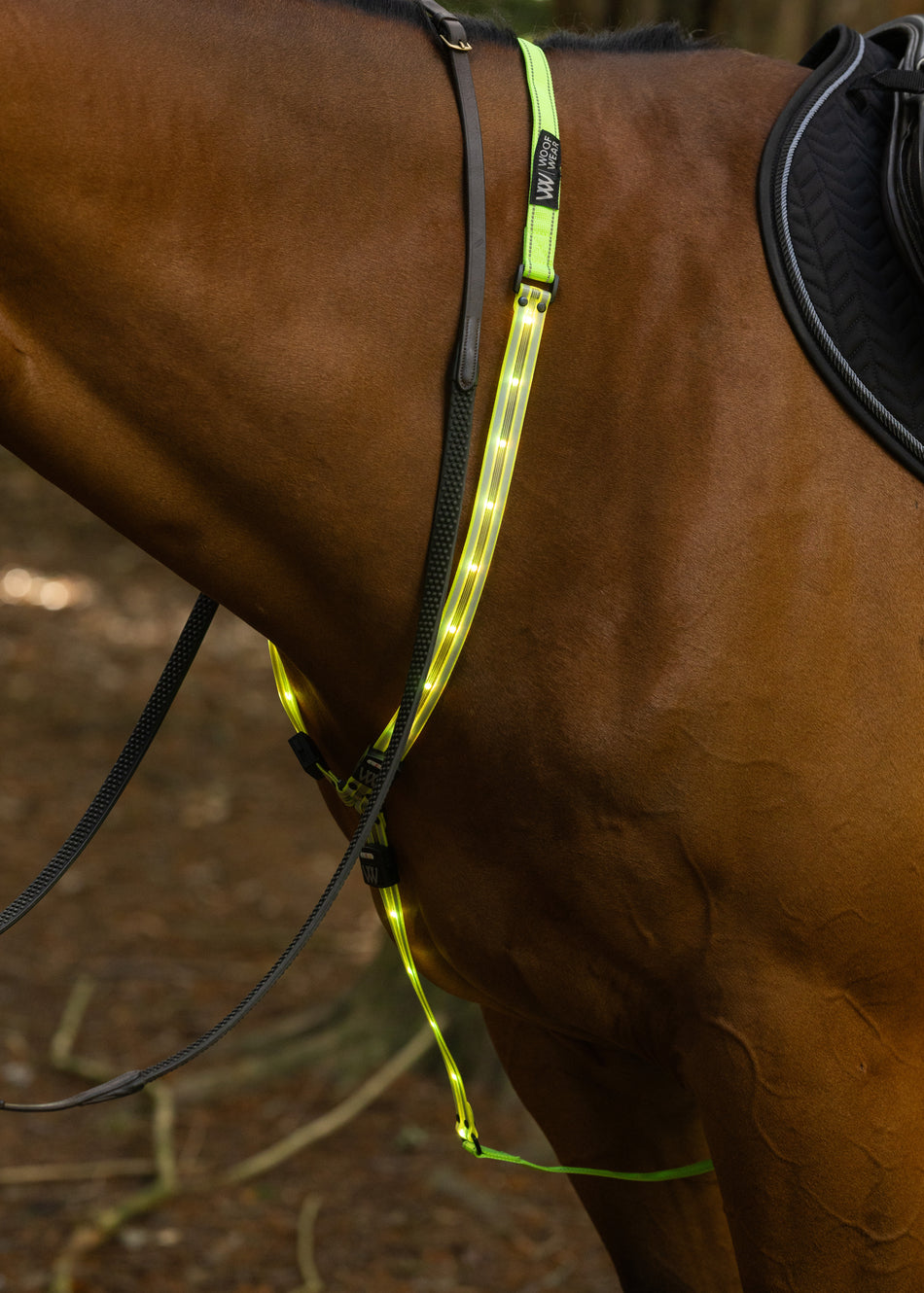 LED Neck Band