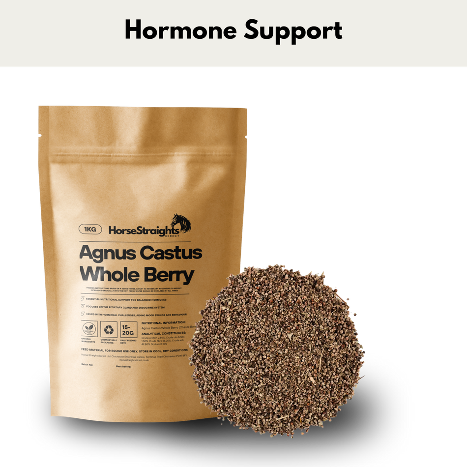Agnus Castus - Chaste Tree - Whole Berry