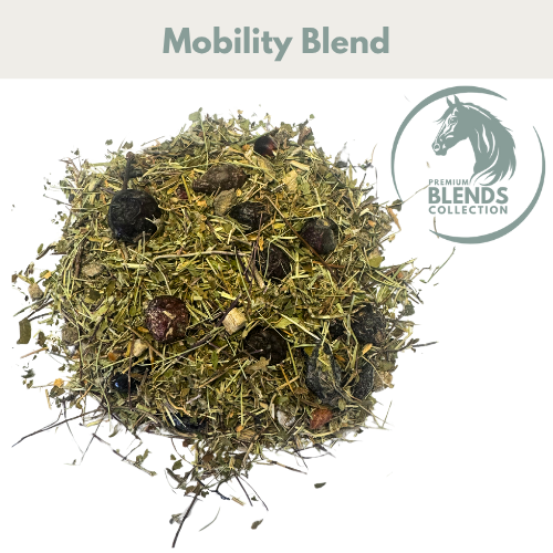 Mobility Blend